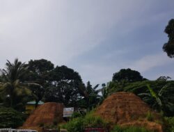 Kampung Dapur 12 Batam, Tonggak Sejarah Eksport Arang Kayu Bakau ke Singapura