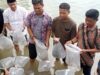 5.000 Bibit Ikan Nemo dan Bawal Putih Dilepasliarkan di Nongsa