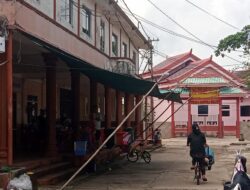 BPBD Kepri Tinjau Kebakaran Pulau Buluh