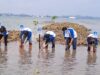 ACC Tanam 1.000 Pohon Mangrove di Ekowisata Pandang Tak Jemu Batam