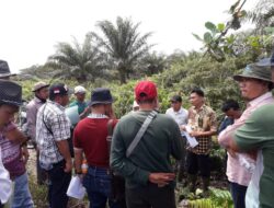 Akibatkan Kebakaran Hutan PT Kallista Alam Bayar Ganti Rugi Rp 57 Miliar